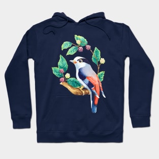 Silver-Breasted Broadbill with Berries Hoodie